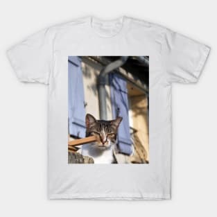 You Lookin' at Me? T-Shirt